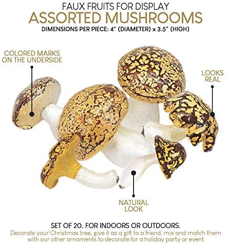 Serene Spaces Living Set of 20 Decorative Mushrooms