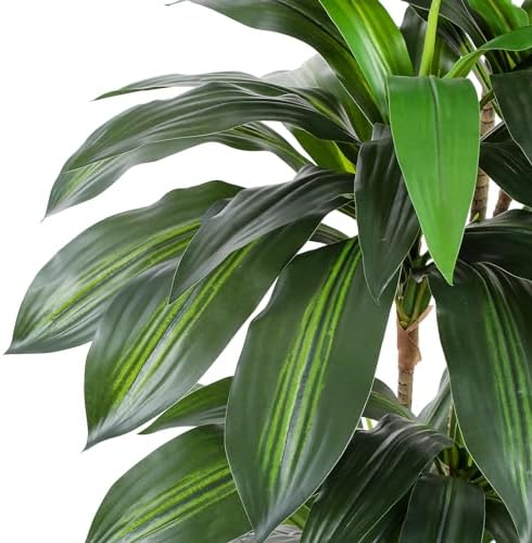 Flowworld Artificial Dracaena Tree 5ft Tall with White Planter