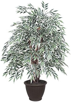 Vickerman 4 Foot Artificial Variegated Smilax Bush with Container