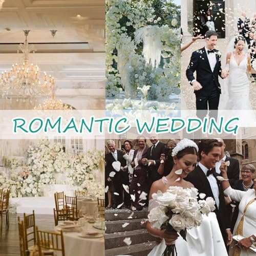 Tavkite Dried Rose Petals for Wedding Decor