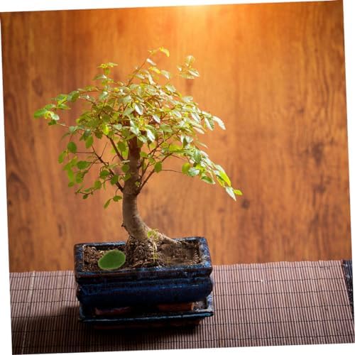 12Pcs Artificial Moss Rocks for DIY Micro Landscape Decor