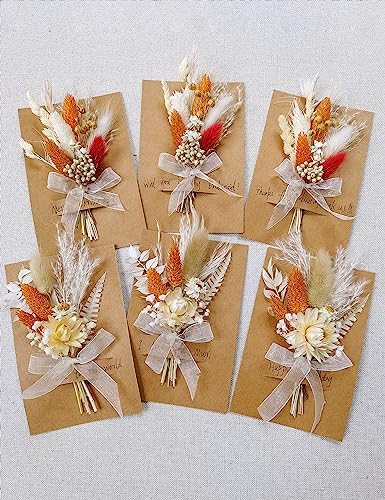 Xins Convey Mini Dried Flower Set Pack of 6