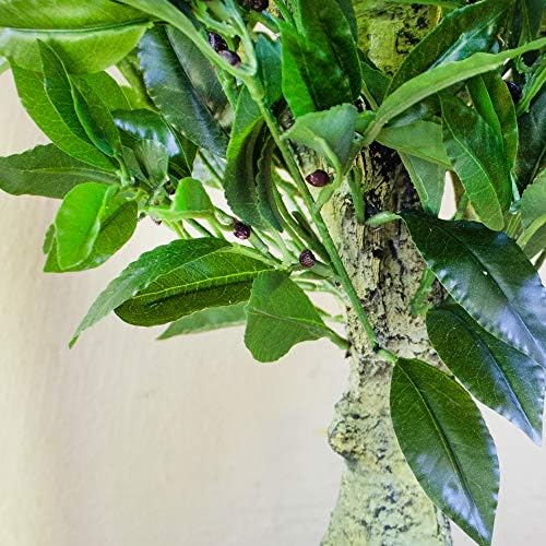 Nearly Natural 5ft Triple Bay Leaf Topiary UV Resistant