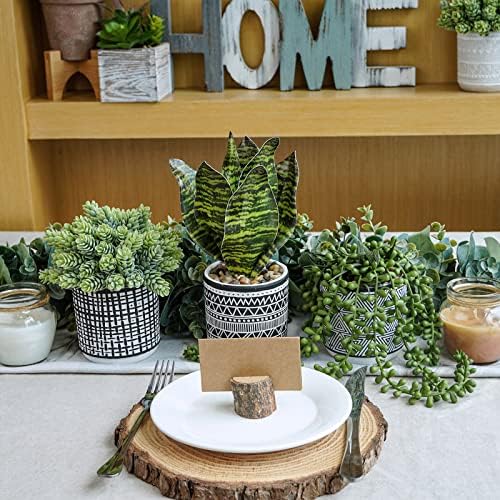 Winlyn 3 Pcs Artificial Succulents Hanging Plants Greenery Decor Set