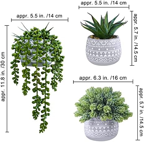 Winlyn 3 Pcs Assorted Small Artificial Succulent Plants