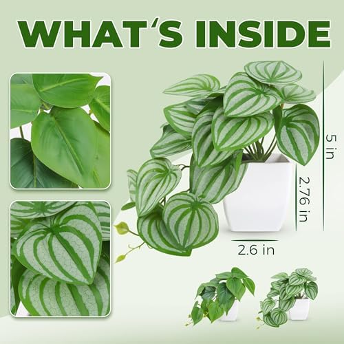 Der Rose 2Pcs Artificial Plants for Indoor Decor