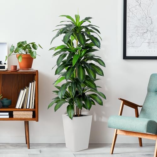 Flowworld Artificial Dracaena Tree 5ft Tall with White Planter