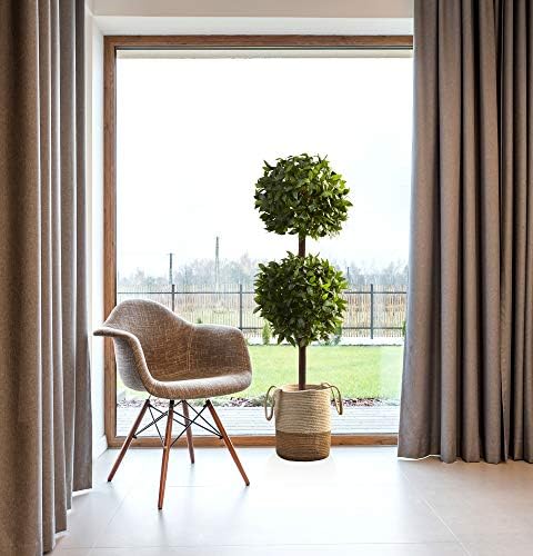 Nearly Natural 6ft Sweet Bay Double Ball Topiary