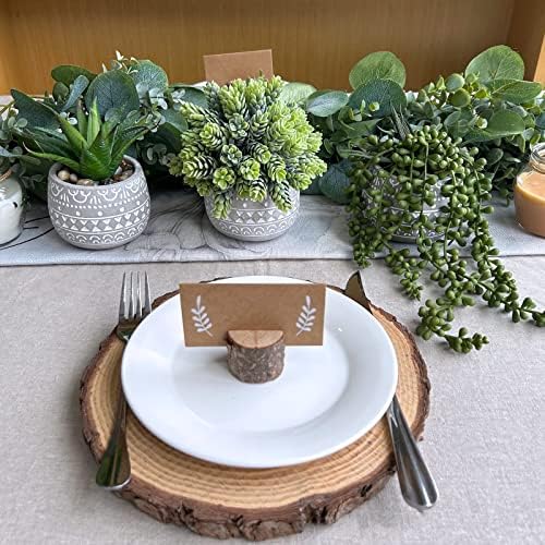 Winlyn 3 Pcs Assorted Small Artificial Succulent Plants