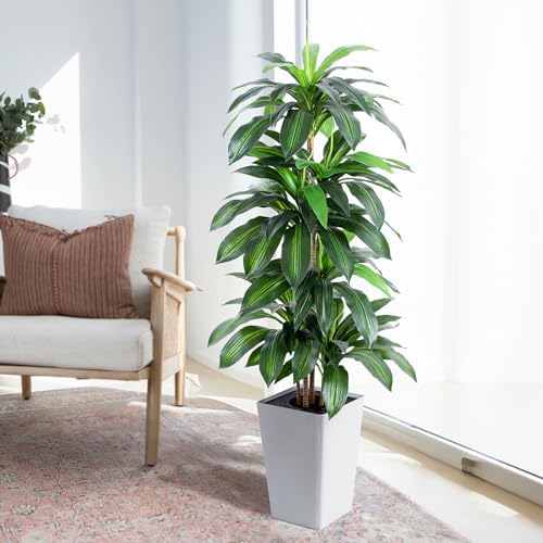 Flowworld Artificial Dracaena Tree 5ft Tall with White Planter