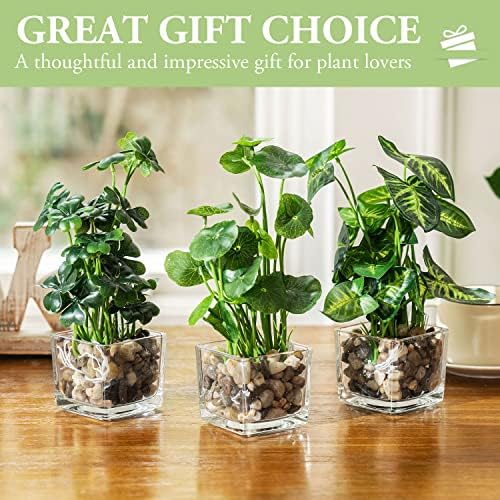 MyGift Set of 3 Fake Plants with Clear Glass Pots