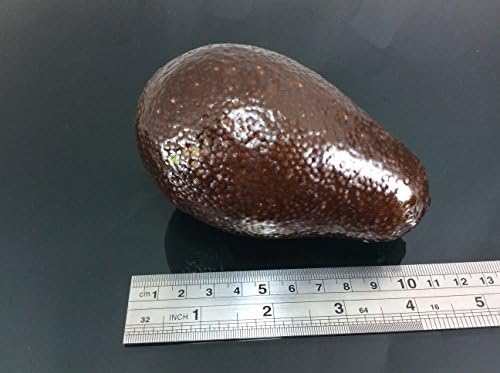 Perfect2Desire Avocado Brown Artificial Fruit Decor