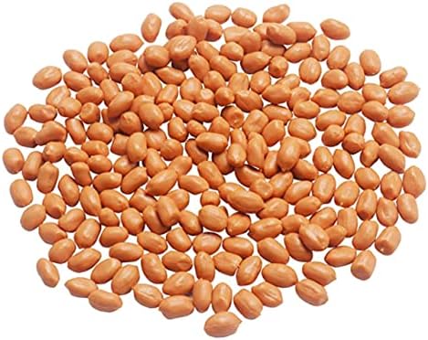 Lifelike Artificial Peanut Kernels for Decoration and Photography