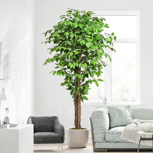 62ft Ficus Artificial Tree with 3 Trunks and Dried Moss
