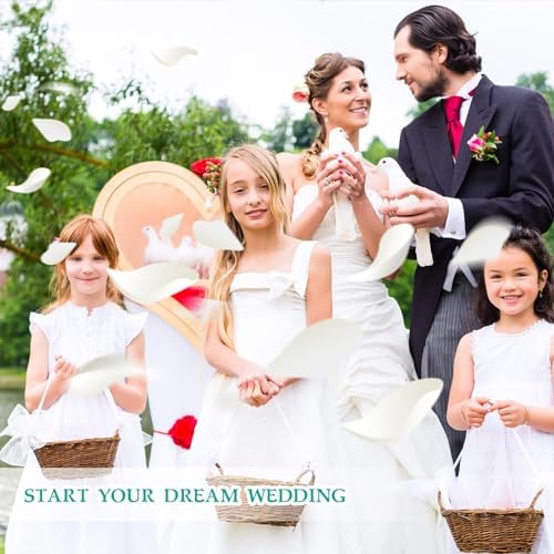 Tavkite Dried Rose Petals for Wedding Decor