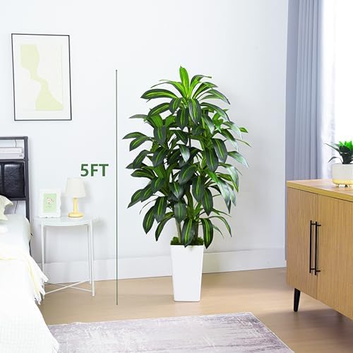 Artificial Dracaena Plant 5FT 6 Trunks Indoor Fake Tree