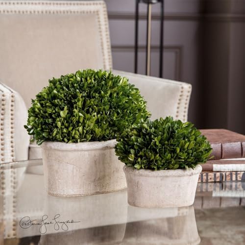 Uttermost 60107 Oval Domes Preserved Boxwood Set of 2