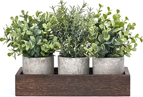 Dahey 3 Pack Mini Artificial Eucalyptus Plants with Wood Tray