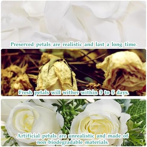 Tavkite Dried Rose Petals for Wedding Decor