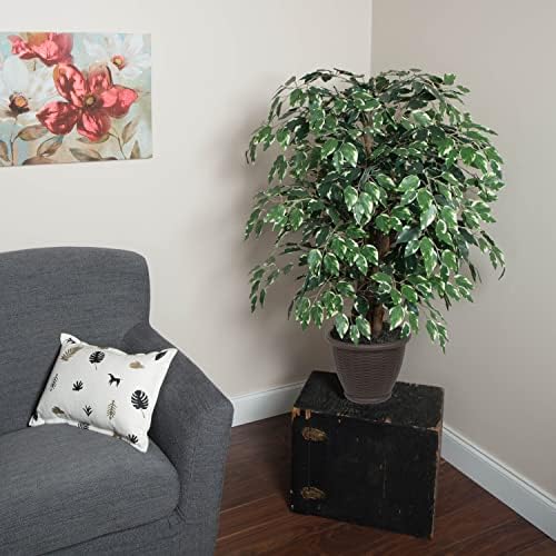 Vickerman 4 Foot Artificial Variegated Ficus Bush with Decorative Container