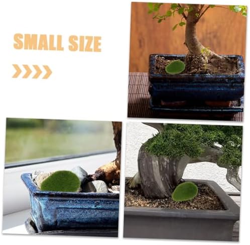 12Pcs Artificial Moss Rocks for DIY Micro Landscape Decor