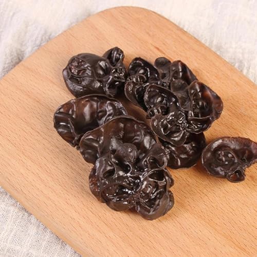 LUOZZY Artificial Black Fungus 15pc Display Props