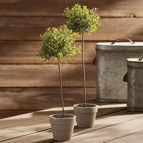 Napa Home Garden Thyme Topiary 13 Inch
