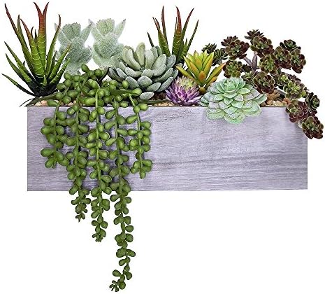 Supla Artificial Succulent Plants in Rectangular Wooden Pot Set