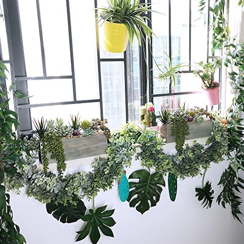 Supla Artificial Succulent Plants in Rectangular Wooden Pot Set