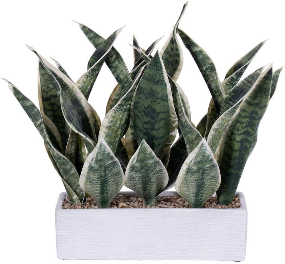 Vickerman 725696-15 Green Snake Plant White Cement Pot Home Office Bushes