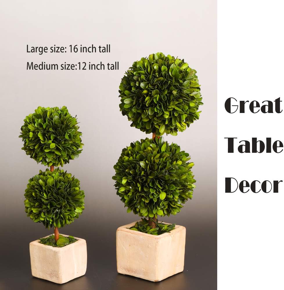 Real Preserved Boxwood Topiary Globe Tree in Terracotta Planter 12 Inches High