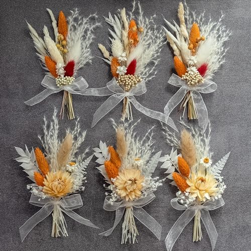 Xins Convey Mini Dried Flower Set Pack of 6