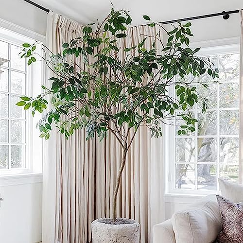GTIDEA 24PCS Artificial Ficus Branches for DIY Decorations 1