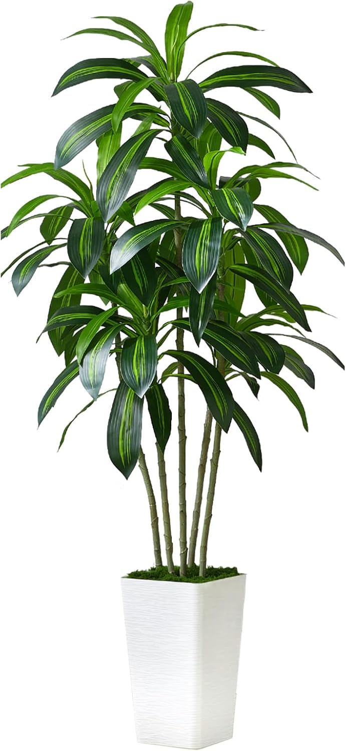 Artificial Dracaena Tree with White Tall Planter