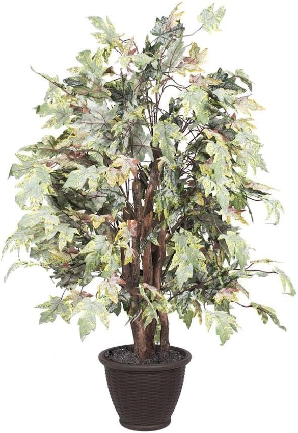 Vickerman 4 Foot Artificial Frosted Maple Bush With Decorative Container