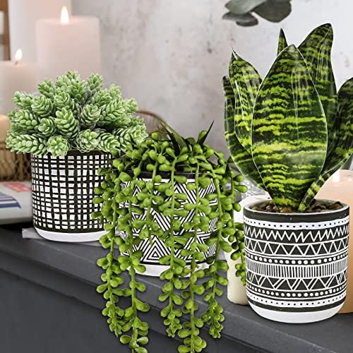 Winlyn 3 Pcs Artificial Succulents Hanging Plants Greenery Decor Set