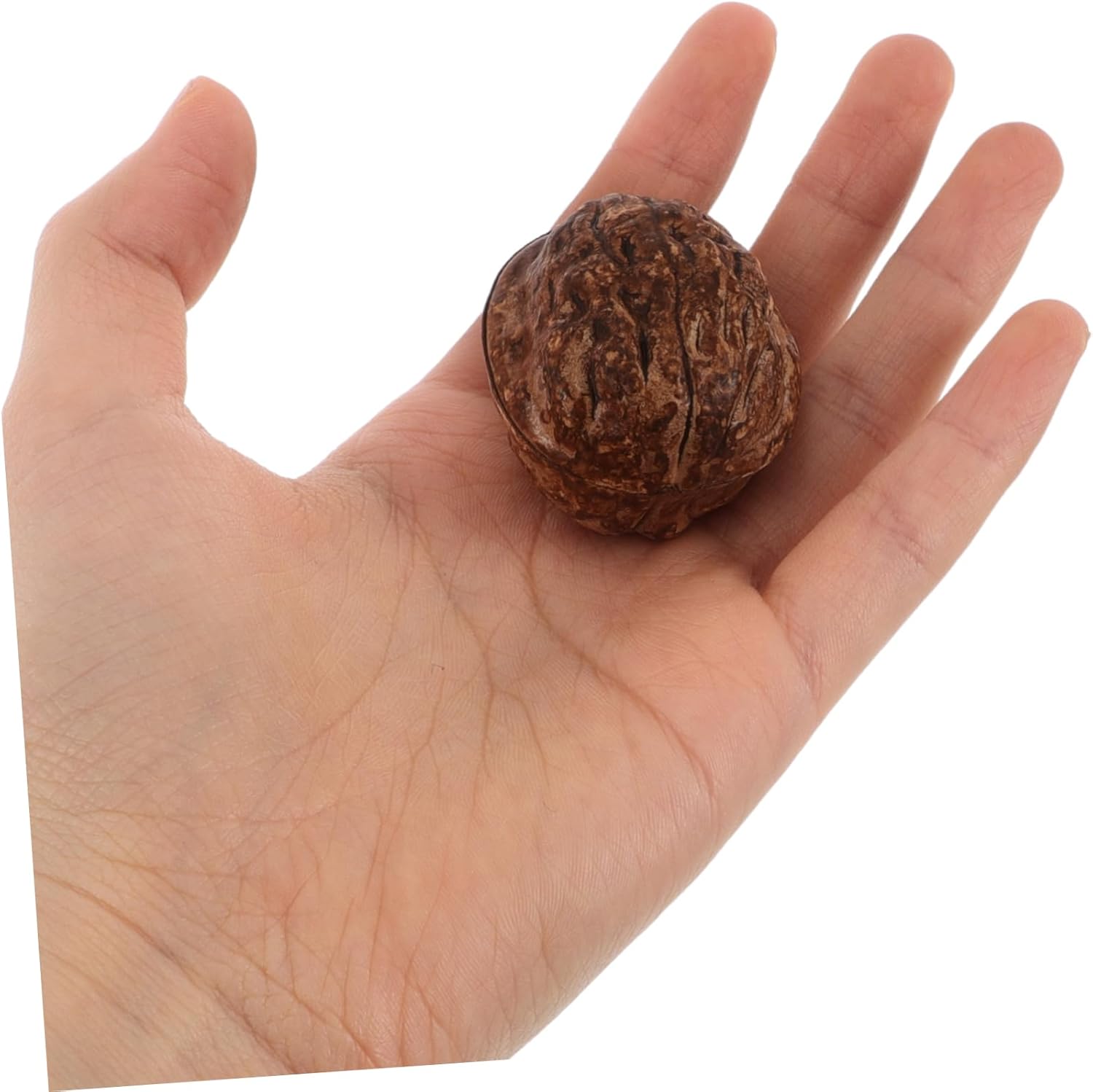 Cabilock 24pcs Lifelike Walnut Artificial Decoration