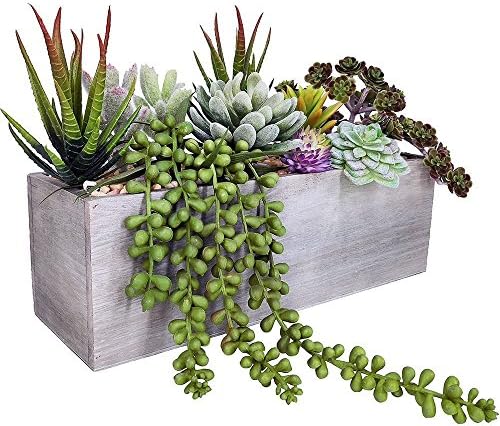 Supla Artificial Succulent Plants in Rectangular Wooden Pot Set