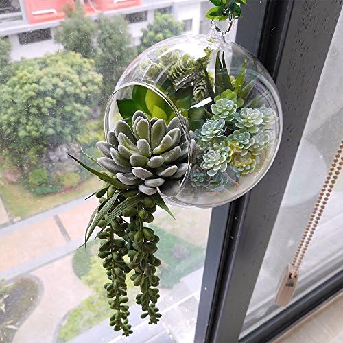 Winlyn 6 Pcs Assorted Fake Succulents Hanging