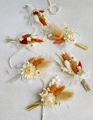 Xins Convey Mini Dried Flower Set Pack of 6