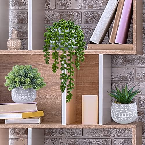 Winlyn 3 Pcs Assorted Small Artificial Succulent Plants