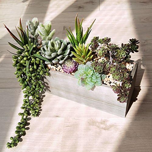 Supla Artificial Succulent Plants in Rectangular Wooden Pot Set