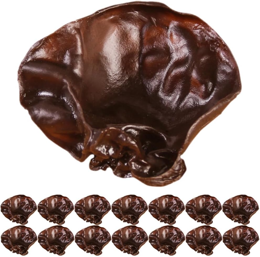 LUOZZY Artificial Black Fungus 15pc Display Props