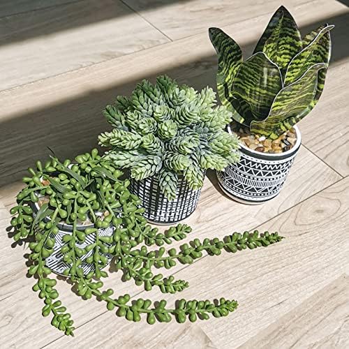 Winlyn 3 Pcs Artificial Succulents Hanging Plants Greenery Decor Set