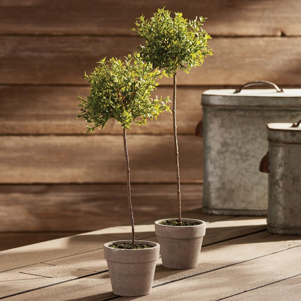 Napa Home Garden Thyme Topiary 13 Inch