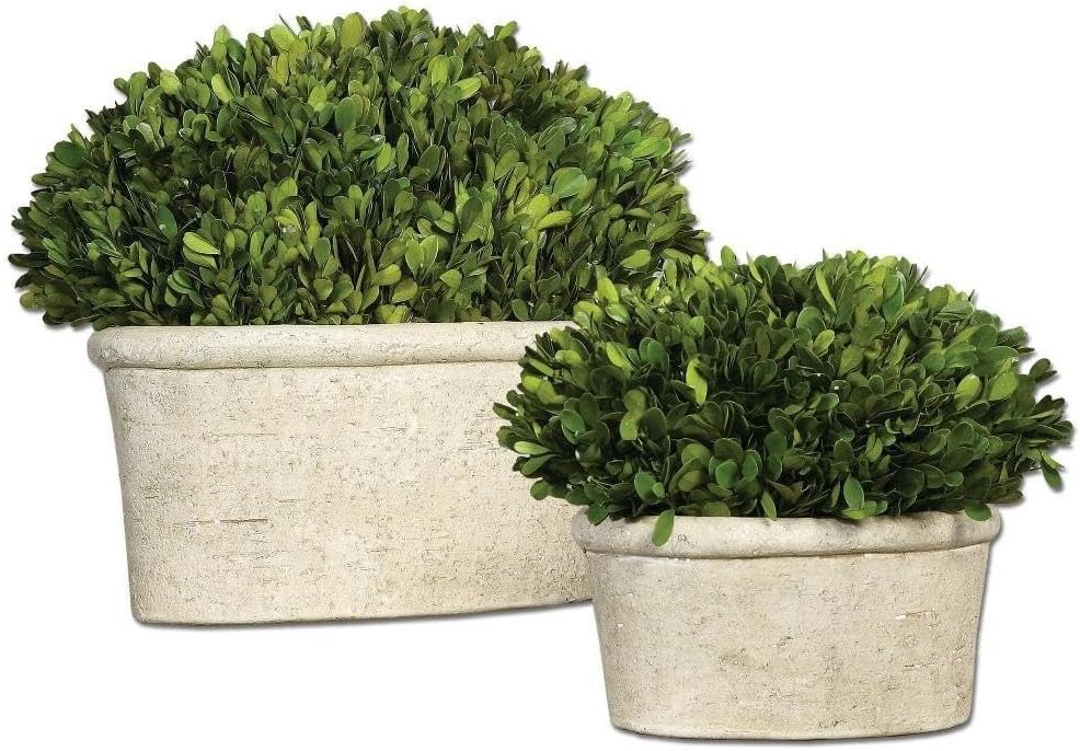 Uttermost 60107 Oval Domes Preserved Boxwood Set of 2