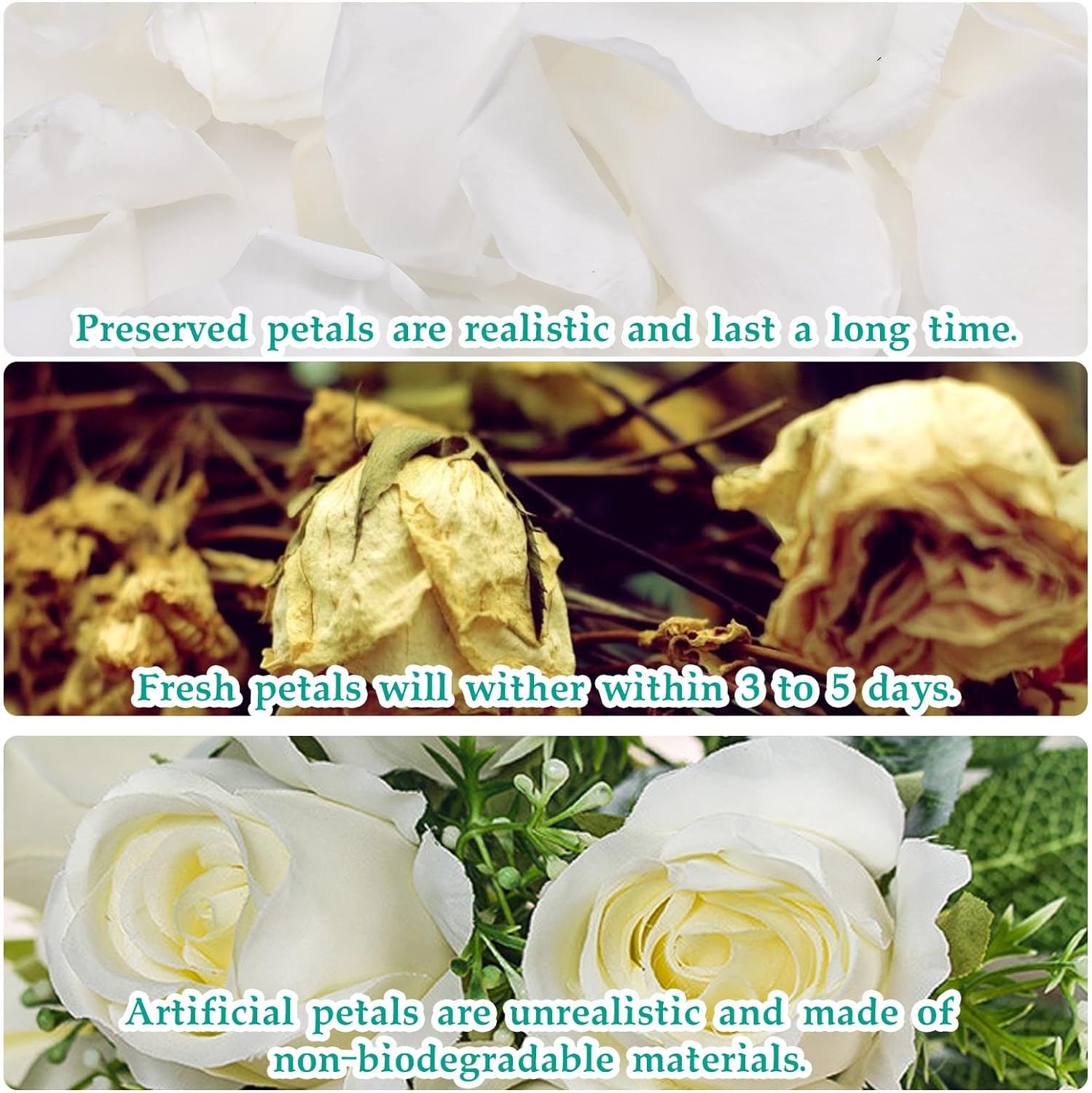Tavkite Dried Rose Petals for Wedding Decor