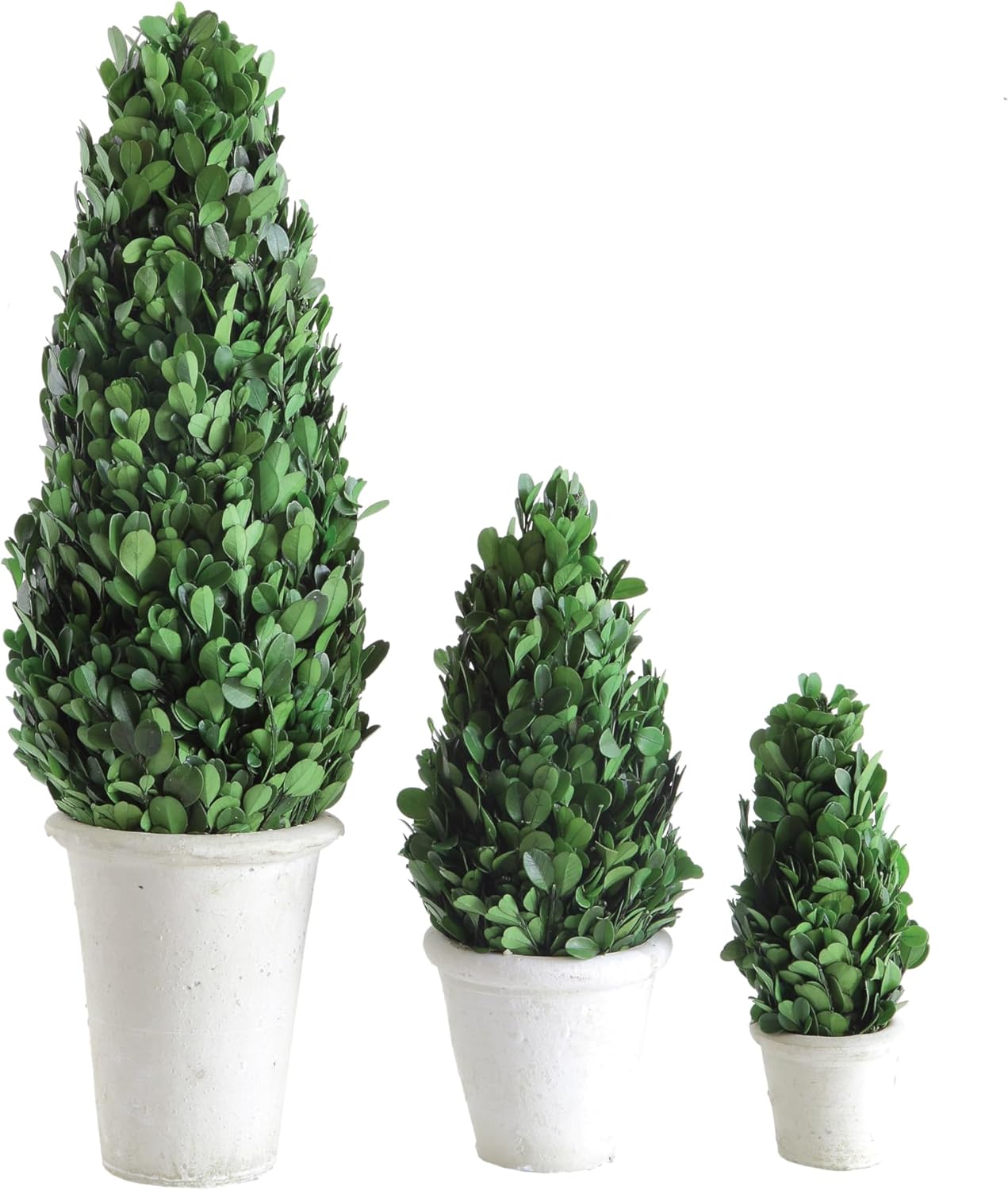 Creative Co Op Boxwood Topiary in Clay Pot