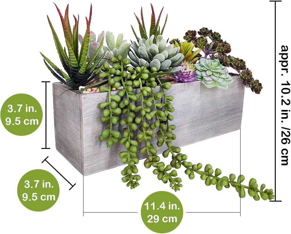 Supla Artificial Succulent Plants in Rectangular Wooden Pot Set