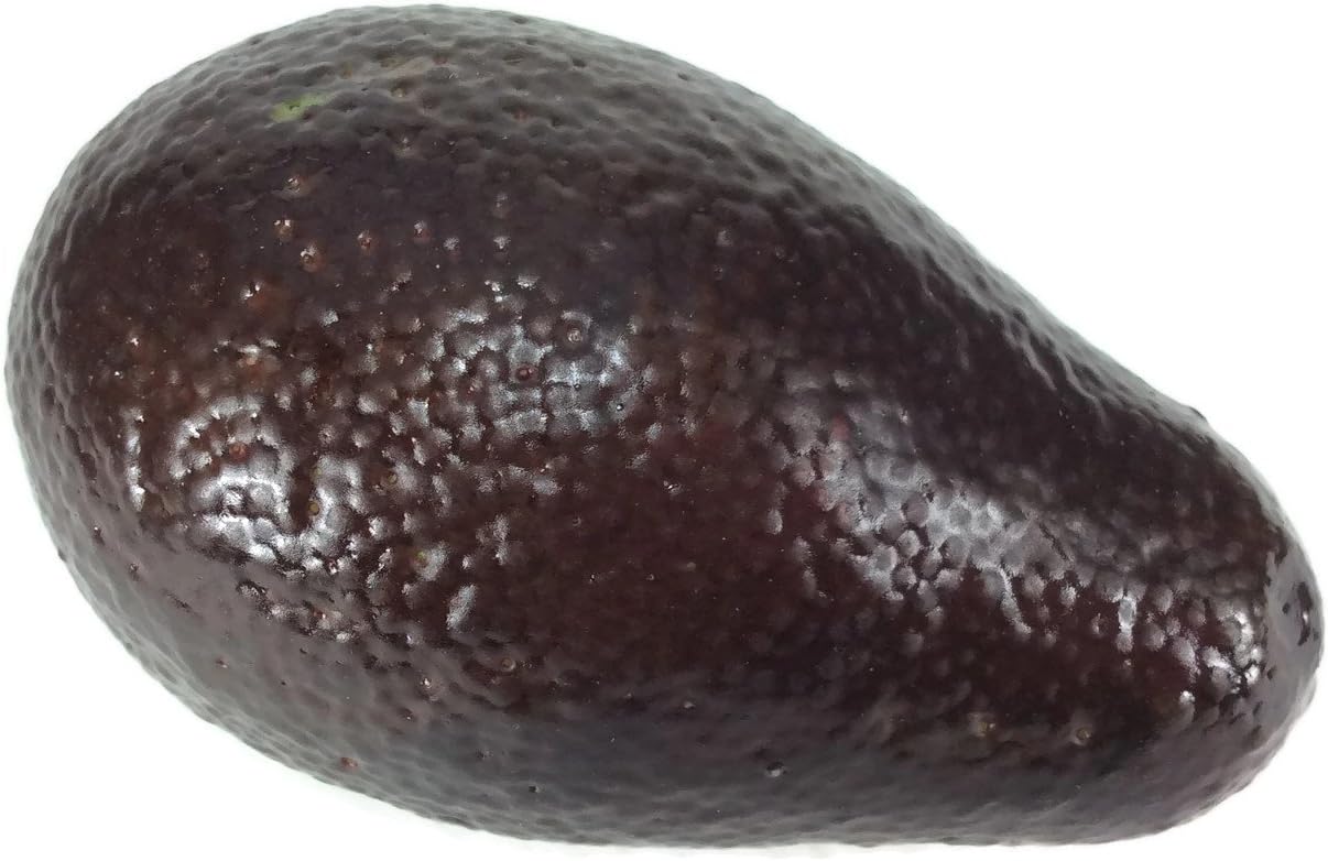 Perfect2Desire Avocado Brown Artificial Fruit Decor